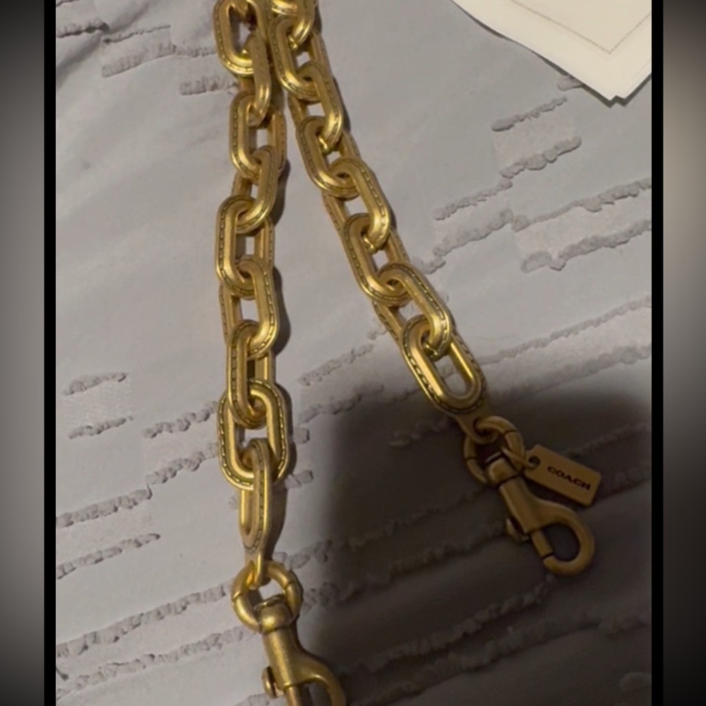 Coach link chain